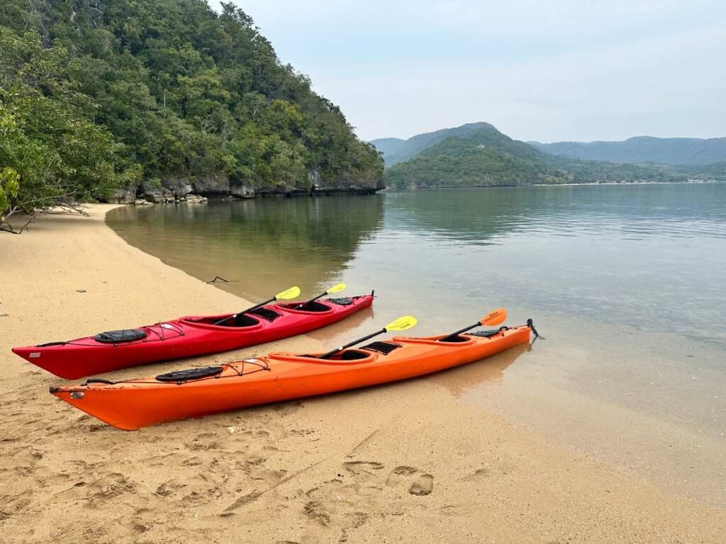 Kayaking through mangroves and rivers, exploring Flores' lush aquatic ecosystems.