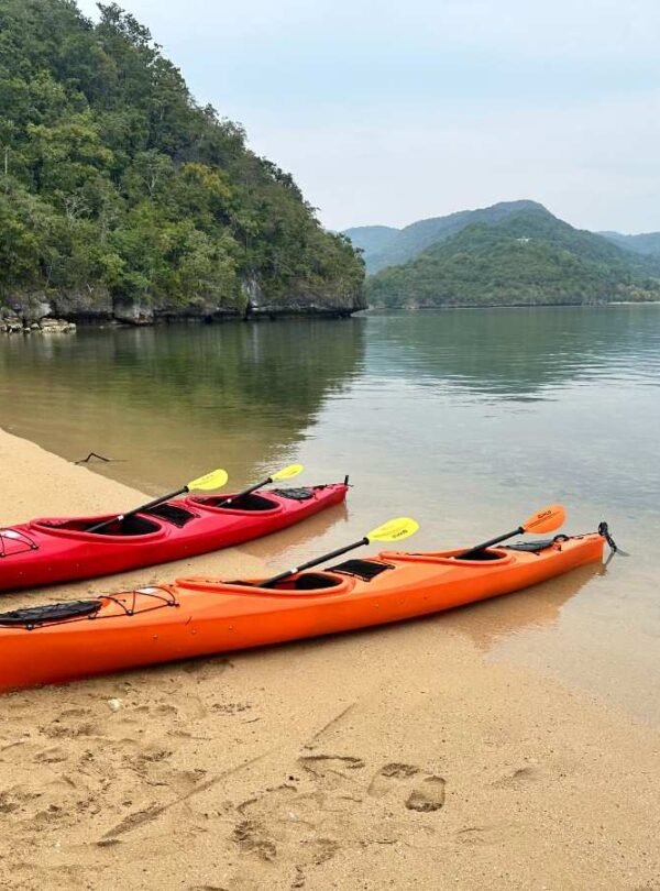 Kayaking through mangroves and rivers, exploring Flores' lush aquatic ecosystems.