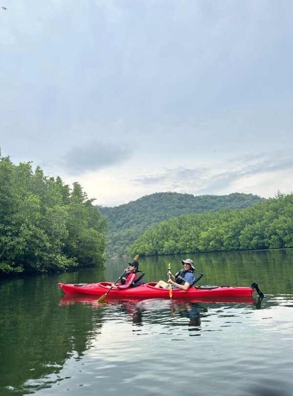 A serene, secluded beach at sunset with kayaks lined up on the shore, picturesque and peaceful.