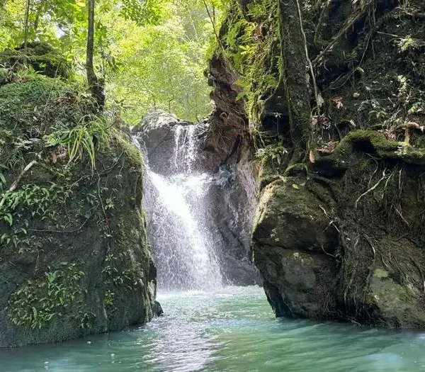 Hidden waterfall cascading between mossy rocks at Cunca Lolos, Flores