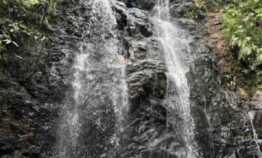A scenic view of cascading waterfalls with lush greenery and a person swimming in the pool below. Desa Wisata Melo Tour