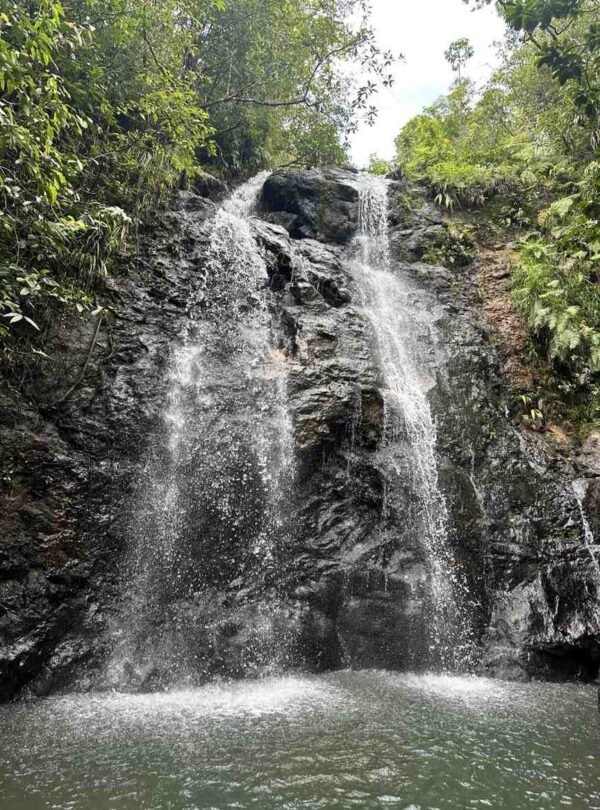 A scenic view of cascading waterfalls with lush greenery and a person swimming in the pool below. Desa Wisata Melo Tour