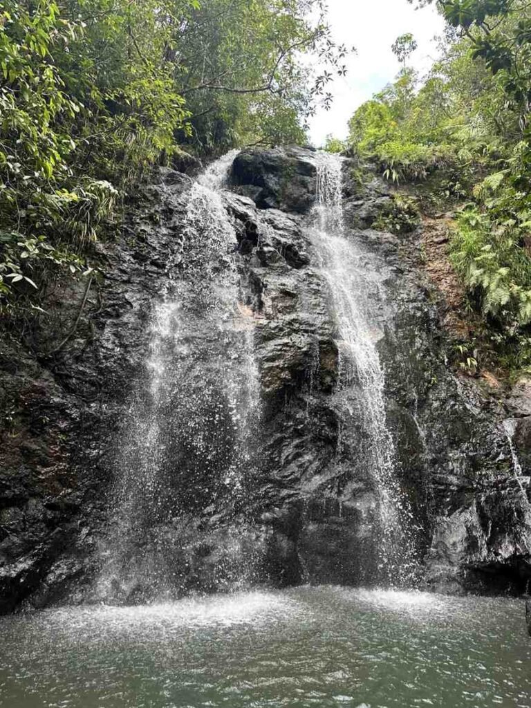 Why Labuan Bajo, Indonesia Is the Perfect Getaway for Nature & Adventure Lovers 6 A scenic view of cascading waterfalls with lush greenery and a person swimming in the pool below.