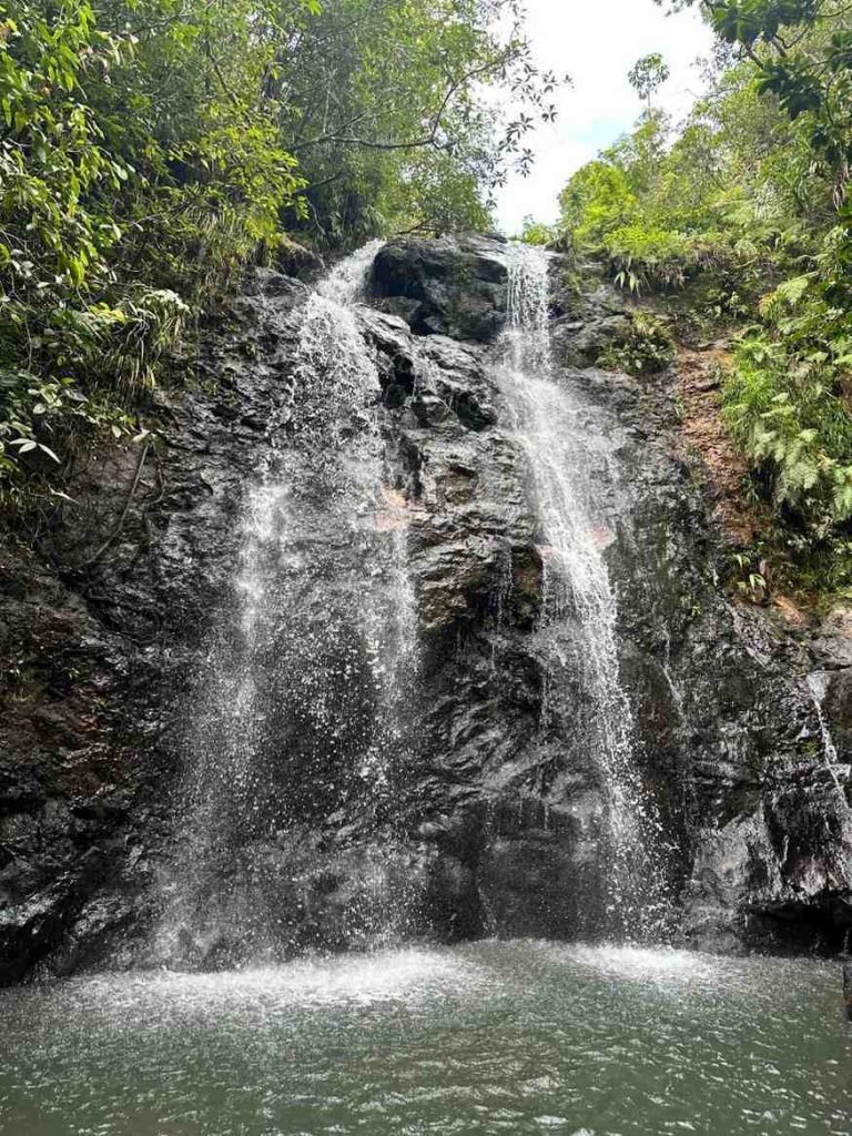 cunca wulang