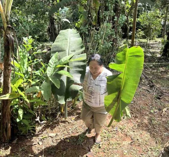 Ina's Cooking Class 8 A woman walking through a lush jungle garden surrounded by tropical plants and leaves.