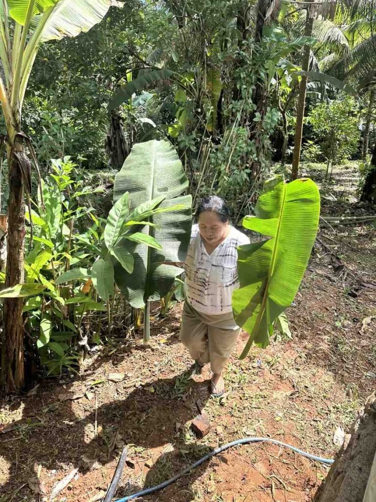 A woman walking through a lush jungle garden surrounded by tropical plants and leaves.