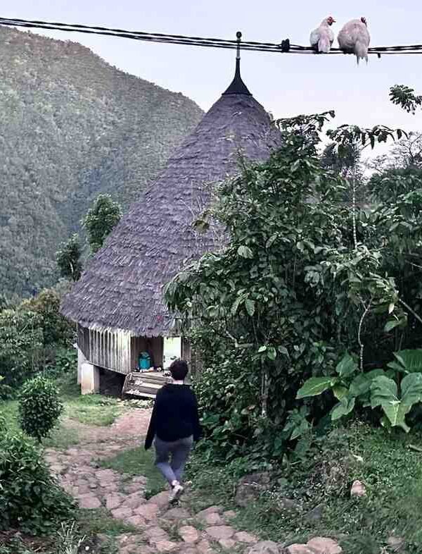 Close-up of a traditional Mbaru Niang house in Waerebo Village, Flores, surrounded by lush tropical greenery.