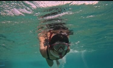 A person snorkeling underwater with a mask and snorkel, surrounded by vibrant marine life and coral reefs.