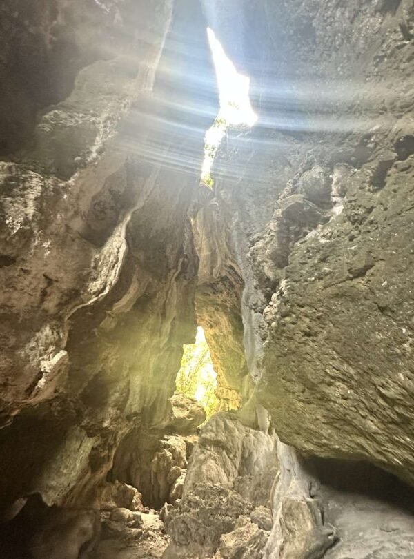 Inside a cave with sunlight streaming through a hole above, illuminating the rocky interior.