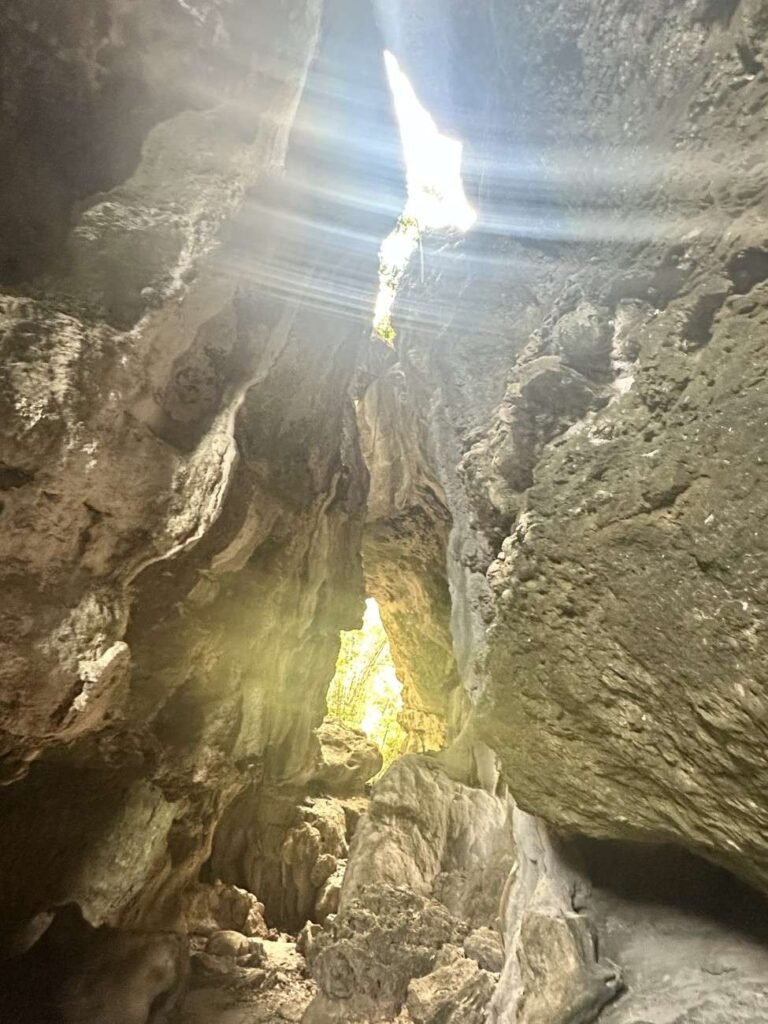 Inside a cave with sunlight streaming through a hole above, illuminating the rocky interior.