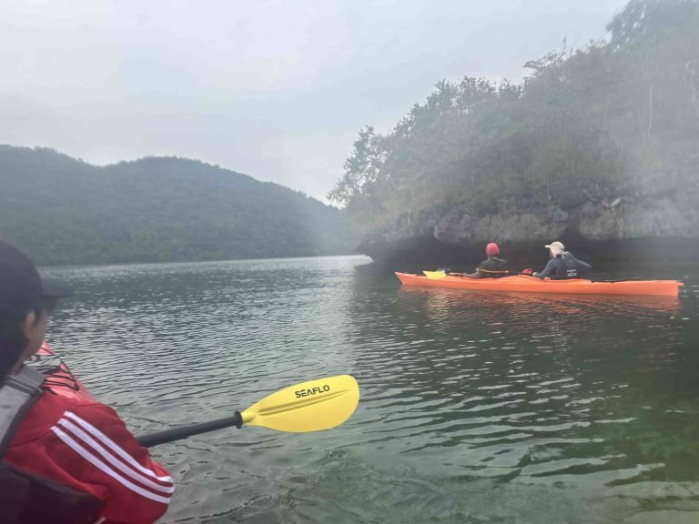 mangrove-kayaking