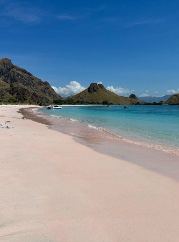 tropical-beach-flores