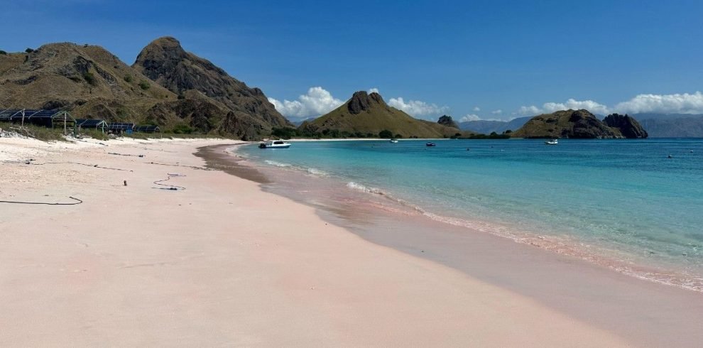 tropical-beach-flores