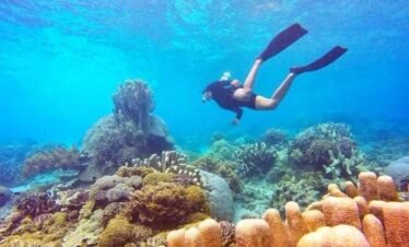 Person snorkeling underwater during a jet ski adventure in Labuan Bajo