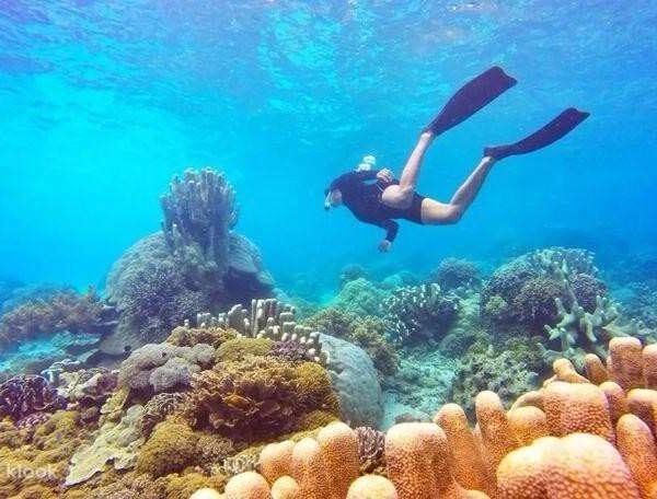 Person snorkeling underwater during a jet ski adventure in Labuan Bajo