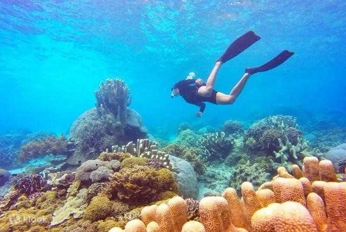 Person snorkeling underwater during a jet ski adventure in Labuan Bajo