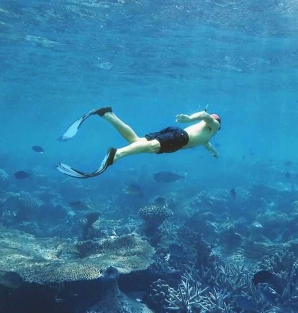 Snorkeling above coral reef during fishing and snorkeling tour near Kalong Island Labuan Bajo