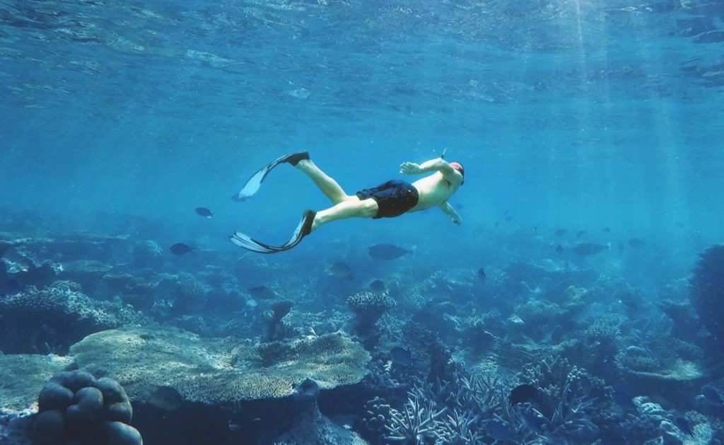 Snorkeling above coral reef during fishing and snorkeling tour near Kalong Island Labuan Bajo