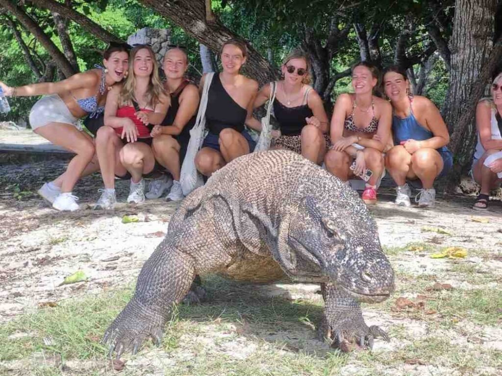 Tourists observing a Komodo dragon during an island tour