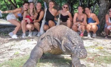 Tourists observing a Komodo dragon during an island tour