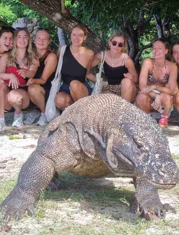 Tourists observing a Komodo dragon during an island tour