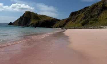 Beautiful Pink Beach in Komodo Island with turquoise water