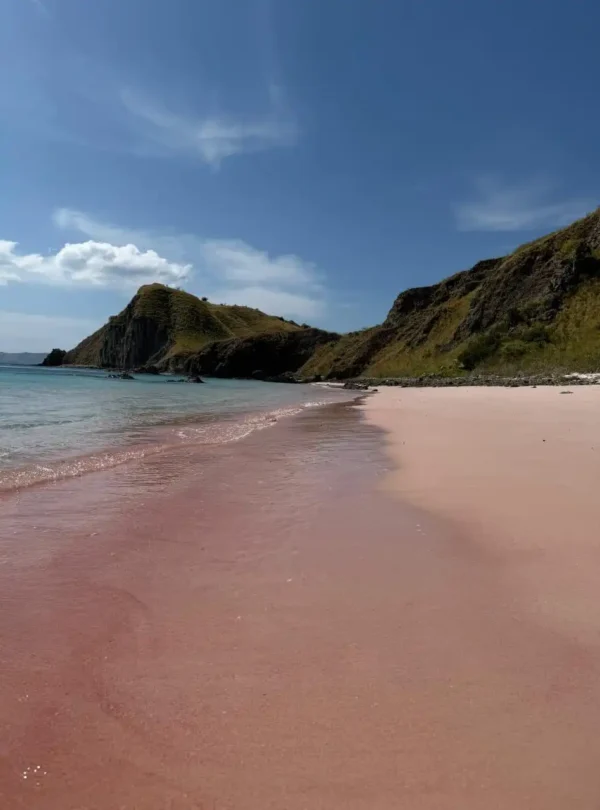 Beautiful Pink Beach in Komodo Island with turquoise water