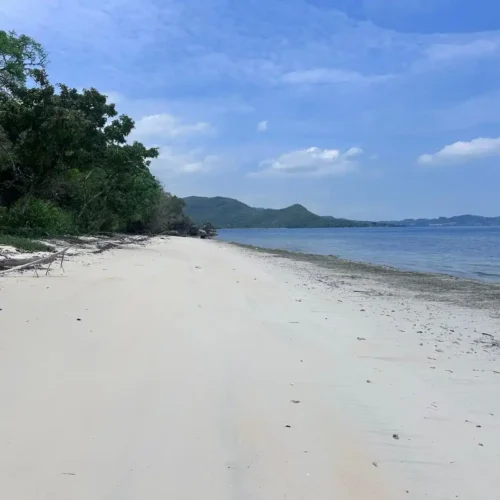 White sand tropical beach and clear blue sea near Labuan Bajo