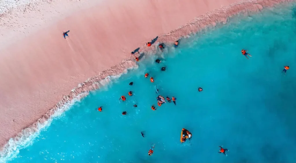 Snorkelers enjoying the turquoise water beside Pink Beach in Komodo National Park