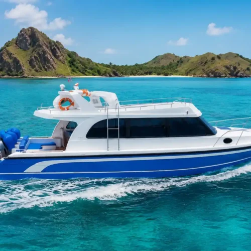Private speedboat cruising through the turquoise waters of Labuan Bajo near Rangko Cave
