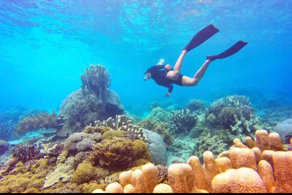 Traveler snorkeling above a colorful coral reef in the clear waters of Labuan Bajo