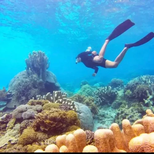 Traveler snorkeling above a colorful coral reef in the clear waters of Labuan Bajo